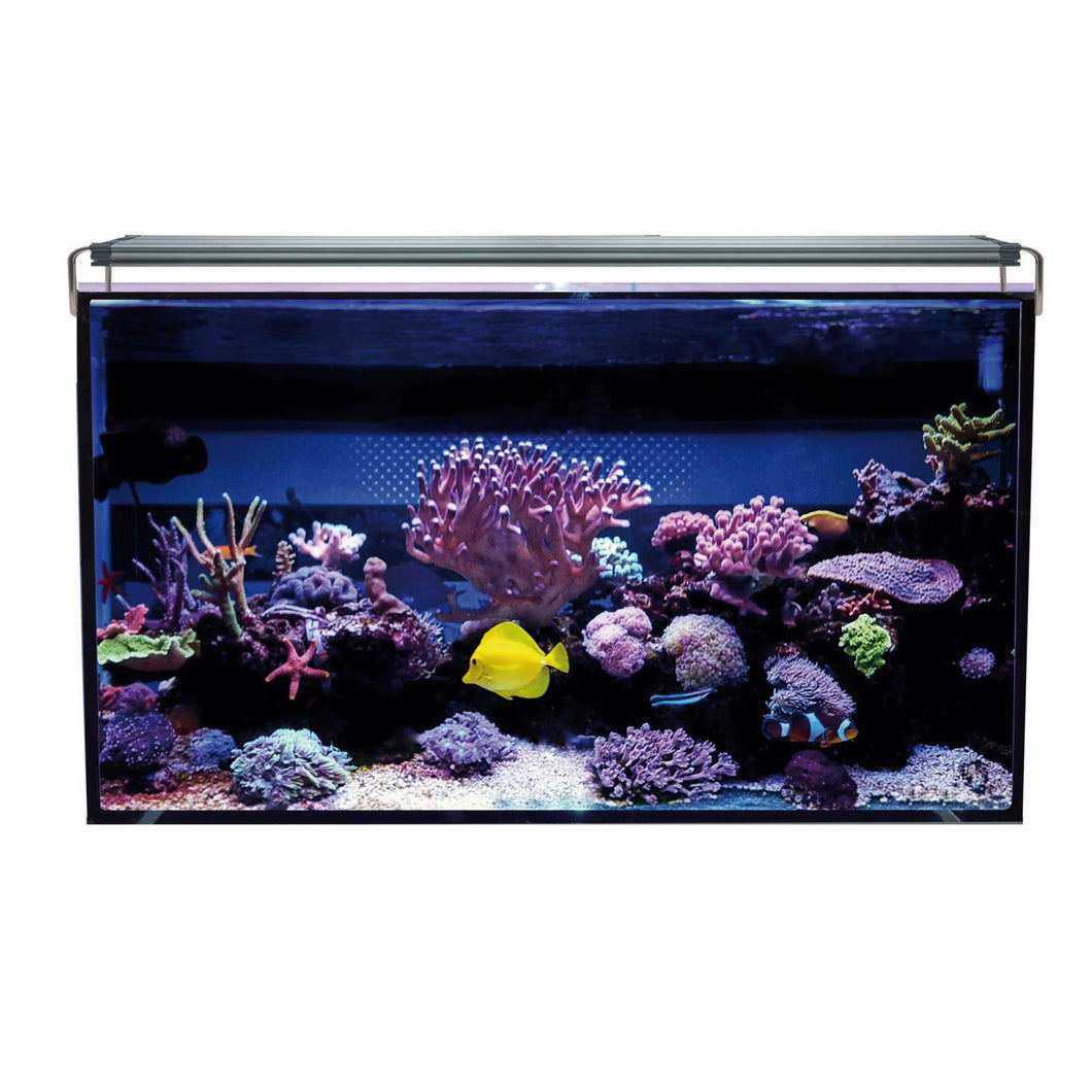 Acuario marino AQUA OCEAN Hydra