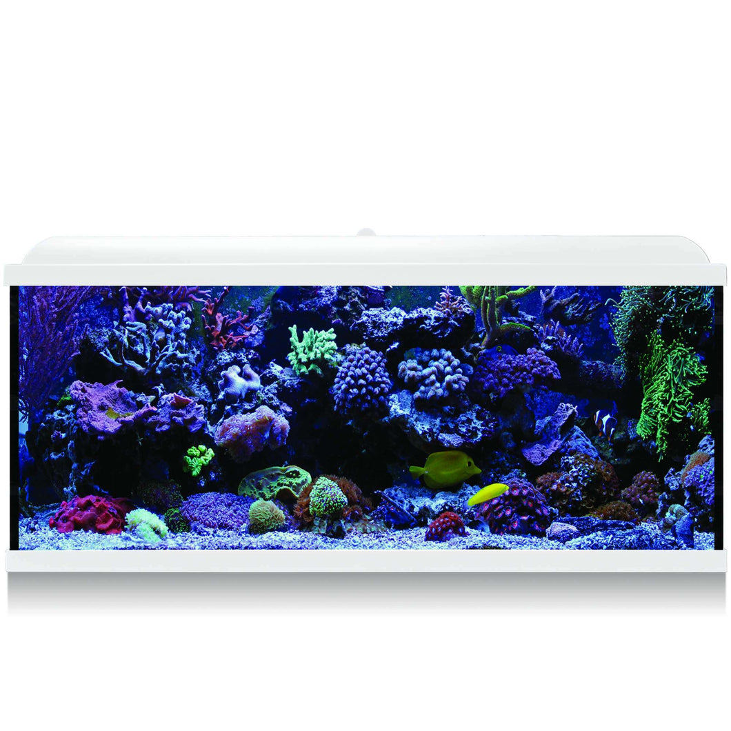 Kit Hydra 130 para agua salada