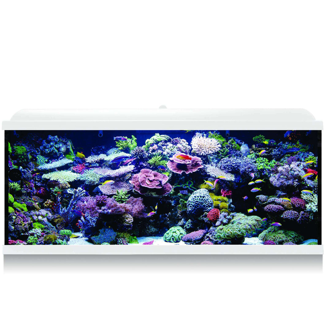 Kit Hydra 240 para agua salada