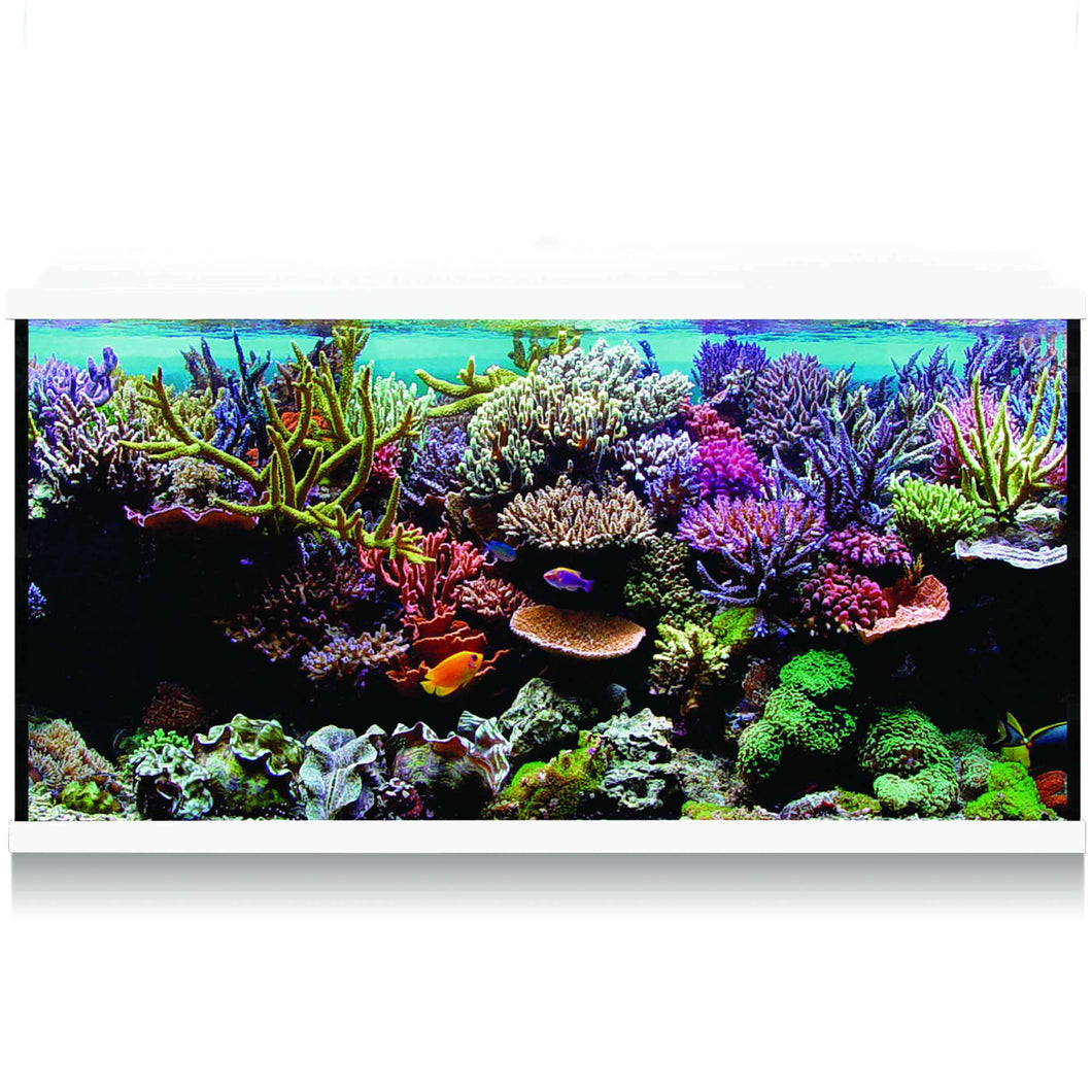 Kit Hydra 300 para agua salada
