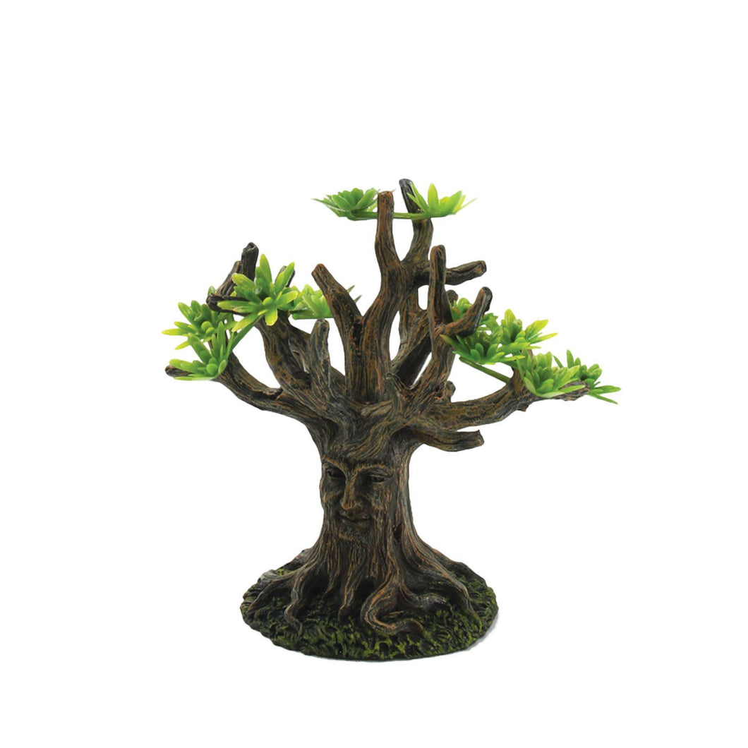 Árbol bosque de pinos de ICA