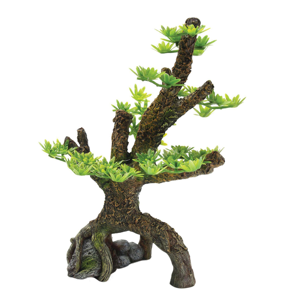 Árbol bosque de pinos de ICA