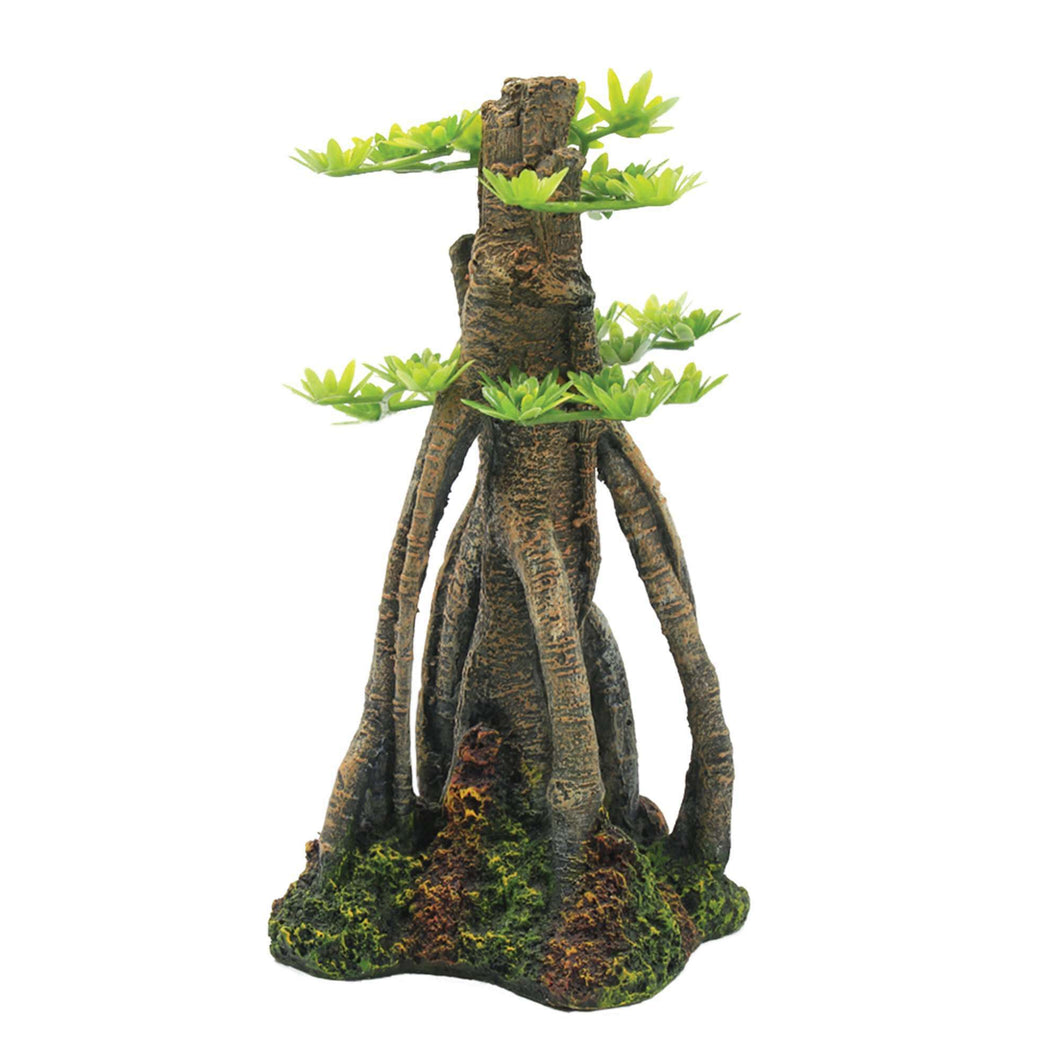 Árbol bosque de pinos de ICA